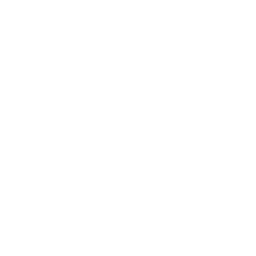 h2